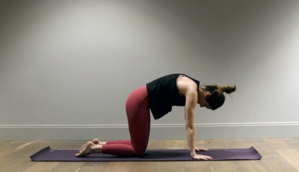 Flexibility Stretches - Side Trunk